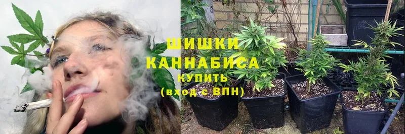 дарнет шоп  hydra зеркало  Марихуана White Widow  Североморск 